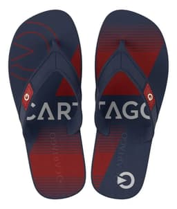Chinelo Infantil Cartago Dakar - 10808 - Azul