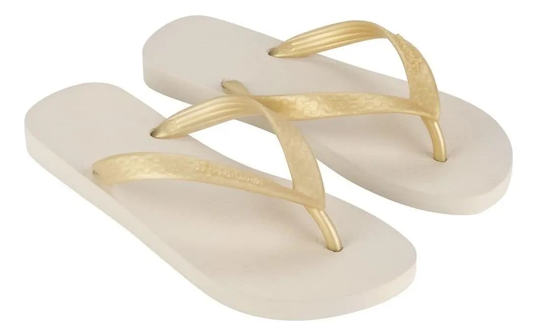 Chinelo Ipanema clássica Feminina - 6466
